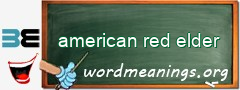 WordMeaning blackboard for american red elder